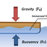 What is Buoyancy? Full Explaination